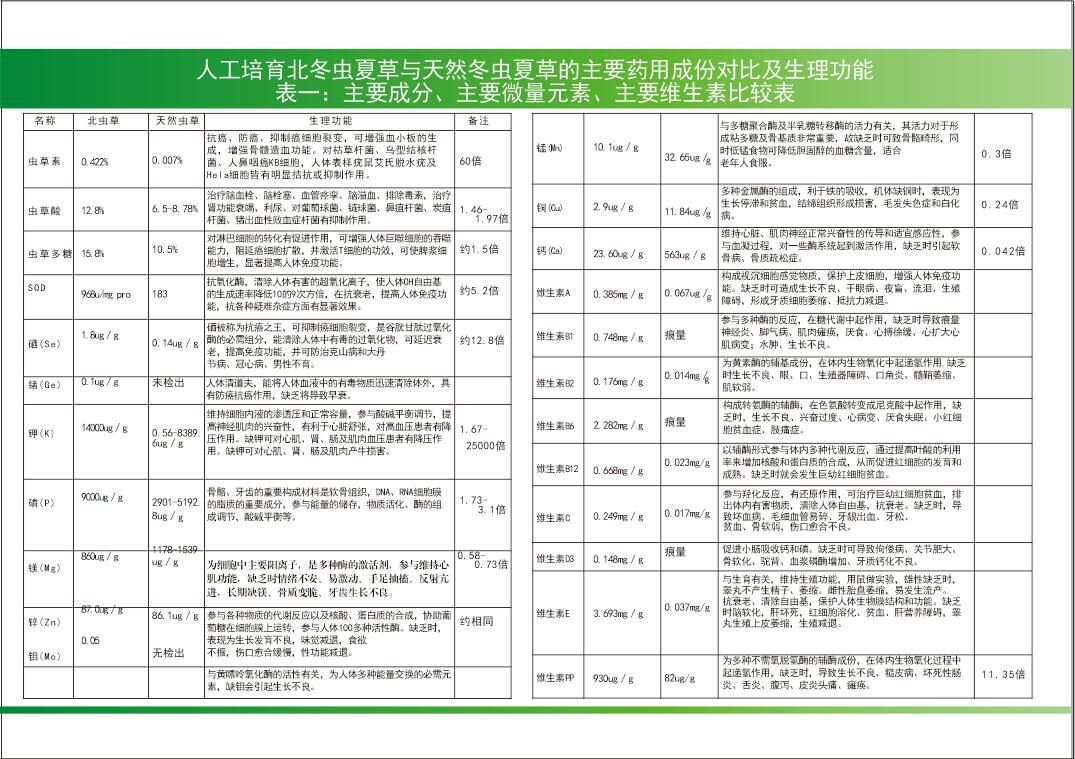 G組合 1(1)(1)-00000011